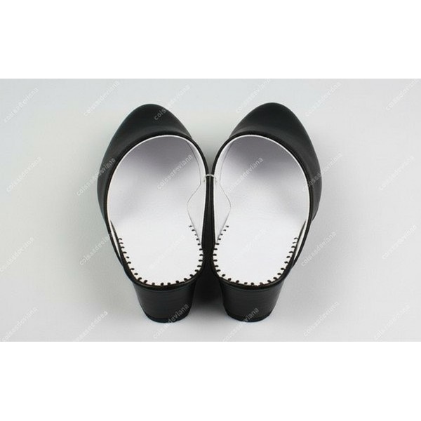 CHINELA REGIONAL PELE SEM BRILHO E SEM BORDADO COM SOLA COURO